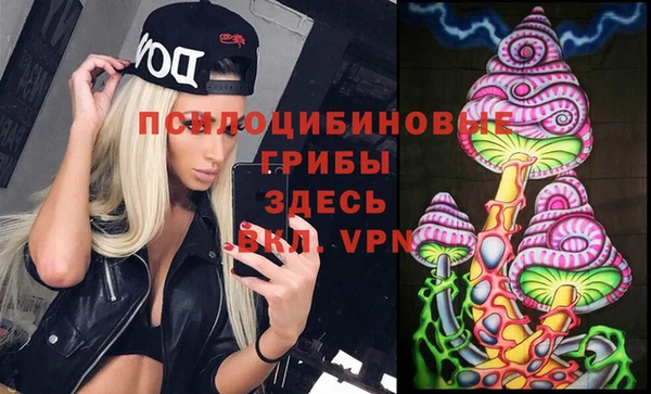 амф Аркадак