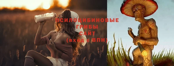 Альфа ПВП Новый Уренгой